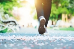 8500 Steps Vs Weight Regain, 8500 Steps Vs Weight Regain breaking news, walking 8500 steps can help prevent weight regain, Us journal