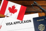 Canada Vs India Visa rule process, Canada Vs India Visa rule process, canada reduces tourist visas issued to indians, Indian travelers