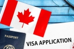 Canada's study visa approvals shocker, Canada's study visa approvals, canada s study visa approvals for indian students to drop by 50 in 2024, Indian origin