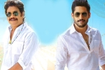 Bangarraju expectations, Bangarraju worldwide collections, ten days worldwide collections of bangarraju, Kalyan krishna