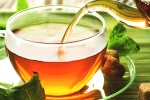 chamomile tea, properties, is consuming tea linked to immunity, Sleep cycle