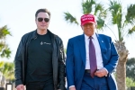 Elon Musk, Donald Trump breaking updates, donald trump finally addresses rumors about elon musk, Spacex