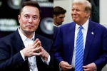 Elon Musk and Donald Trump deal, Elon Musk and Donald Trump support, elon musk s big bet on donald trump, Donald trump s campaign