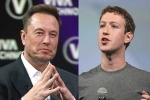 Elon Musk Vs Mark Zuckerberg new updates, Elon Musk Vs Mark Zuckerberg breaking news, elon musk vs mark zuckerberg rivalry, Walrus