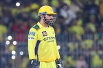 MS Dhoni breaking news, IPL 2025, ms dhoni advised to retire from ipl, Ms dhoni