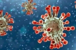 China Covid Row review, India coronavirus, new china coronavirus variant traced in india, China covid 19