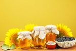 Sunflower Oil latest, Sunflower Oil breaking, long term effects of consuming sunflower oil on heart health, Doctors