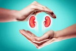 World Kidney Day 2025, World Kidney Day 2025 to be taken, world kidney day 2025 theme and health tips, Lean