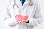 World Liver Day 2025 tips, Liver Overloaded breaking, world liver day 2025 is your liver overloaded, Diets