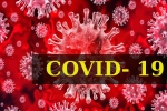 Dr Tedros Adhanom Ghebreyesus, COVID- 19, who renames the deadly coronavirus as covid 19, Snakes